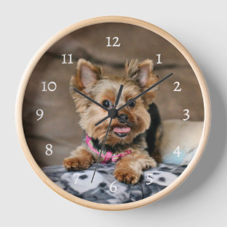 Tiny Dynamo Clock