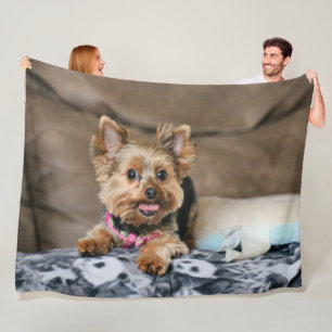 Tiny dynamo fleece blanket