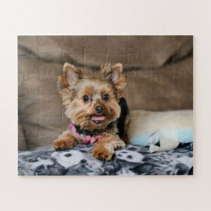 Tiny Dynamo Jigsaw Puzzle