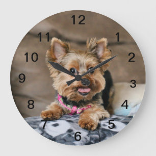 Tiny dynamo  large clock