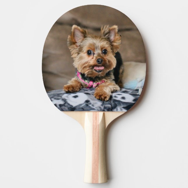 Tiny Dynamo Ping Pong Paddle (Front)