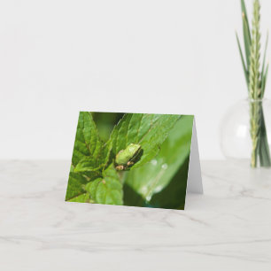 Tiny Frog Note Card (glossy)