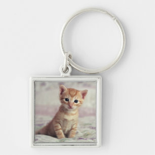 Tiny Ginger Kitten Keychain
