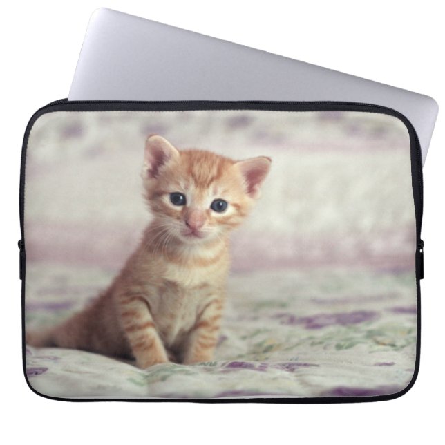 Tiny Ginger Kitten Laptop Sleeve (Front)
