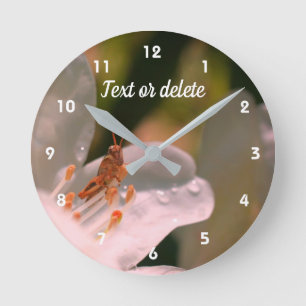 Tiny Grasshopper On Azalea Flower Personalized Round Clock