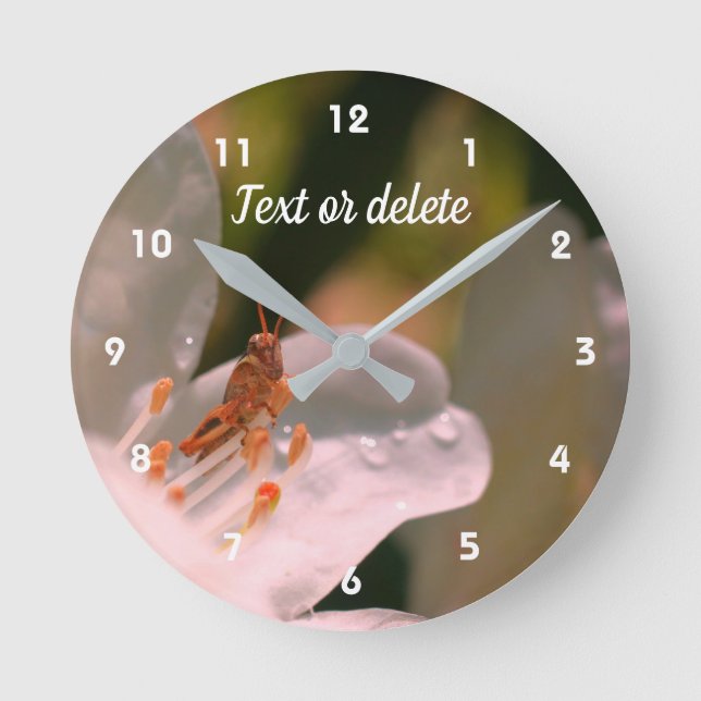 Tiny Grasshopper On Azalea Flower Personalized   Round Clock (Front)