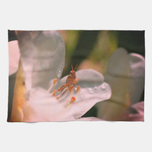 Tiny Grasshopper On White Azalea Flower Kitchen Towel