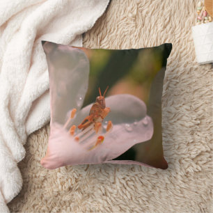 Tiny Grasshopper On White Azalea Flower   Throw Pillow