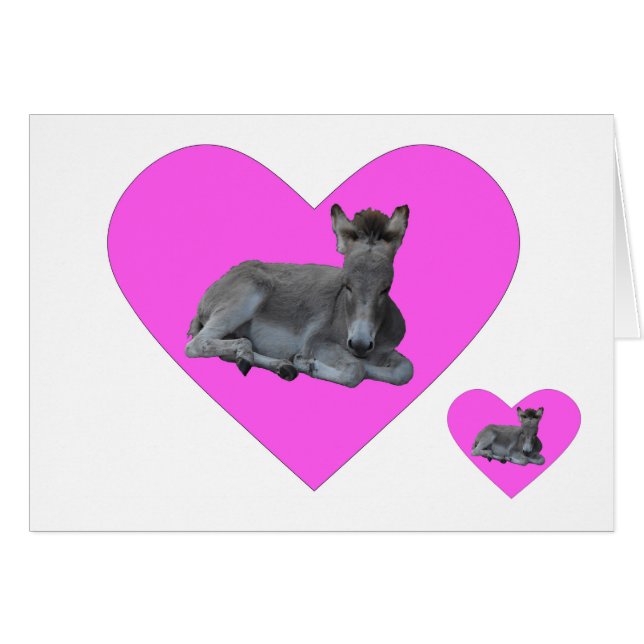 Tiny Grey Donkey Foal in Big Pink Heart (Front Horizontal)