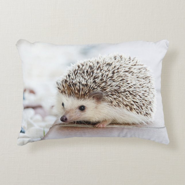 Tiny Hedgehog Decorative Pillow (Front)