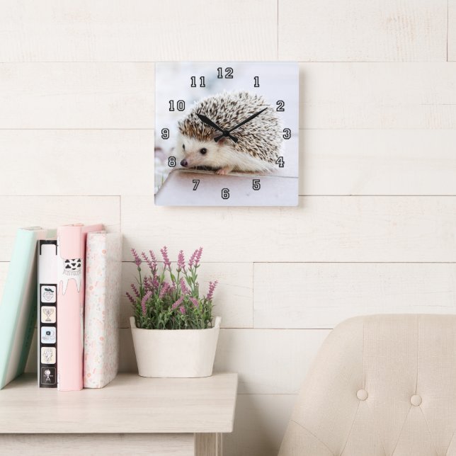 Tiny Hedgehog Square Wall Clock (Reading Room)