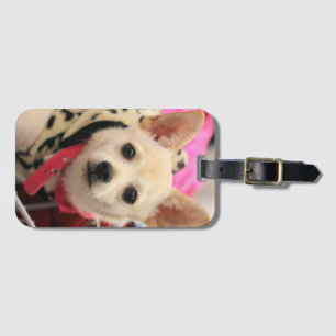 Tiny helper luggage tag