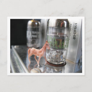 Tiny horse in the Vintage McIntosh Postcard