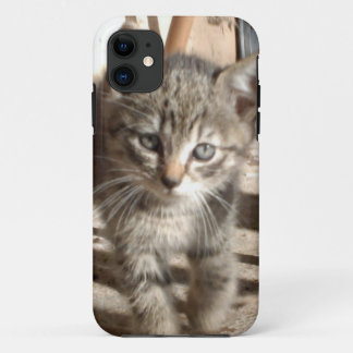 Tiny Kitten IPhone 5 case