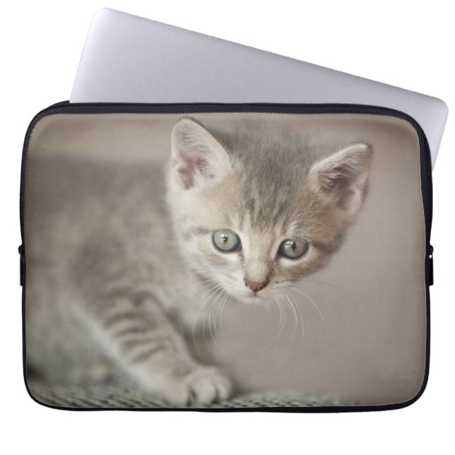 Tiny Kitten Laptop Sleeve (Front)