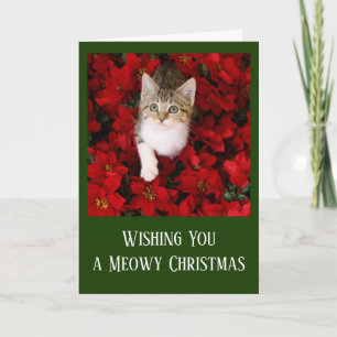 Tiny Kitten Surrounded by Red Poinsettias Holiday Card