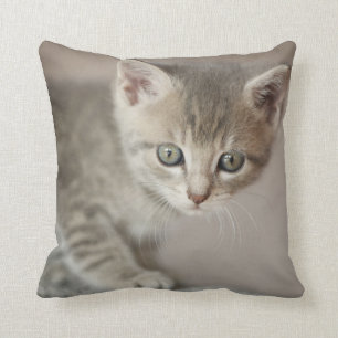 Tiny Kitten Throw Pillow