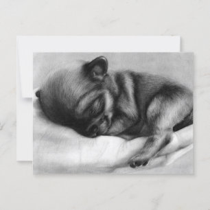 Tiny Life - Hand Painted Chihuahua Newborn Postcard