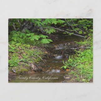 Tiny little creek... postcard