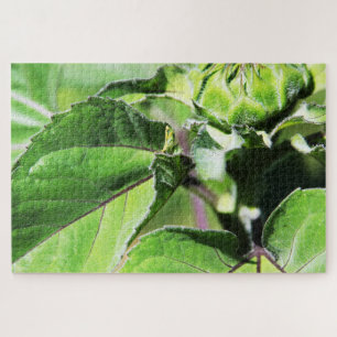 Tiny Mantis Jigsaw Puzzle