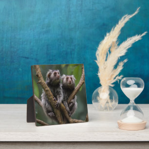 Tiny Marmoset Titans Among the Branches, Plaque