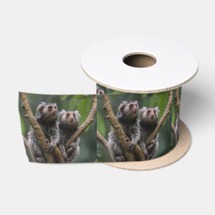 Tiny Marmoset Titans Among the Branches, Satin Ribbon