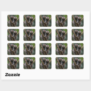 Tiny Marmoset Titans Among the Branches, Square Sticker
