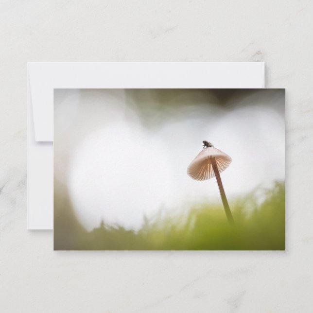 Tiny Mushroom Nature Photo Card (Front)
