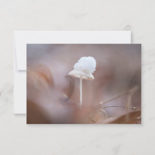 Tiny Mushroom Nature Photo Card