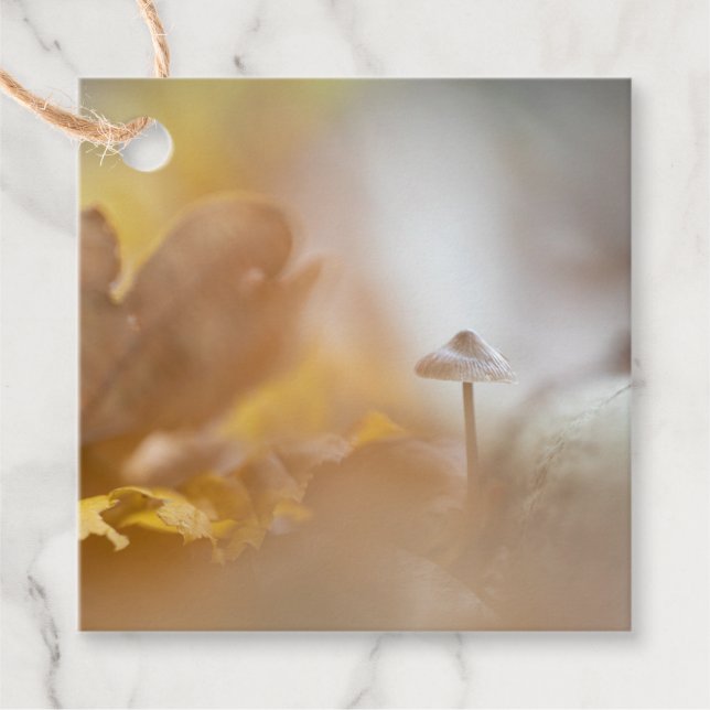 Tiny Mushroom Nature Photo Favour Tags (Front)