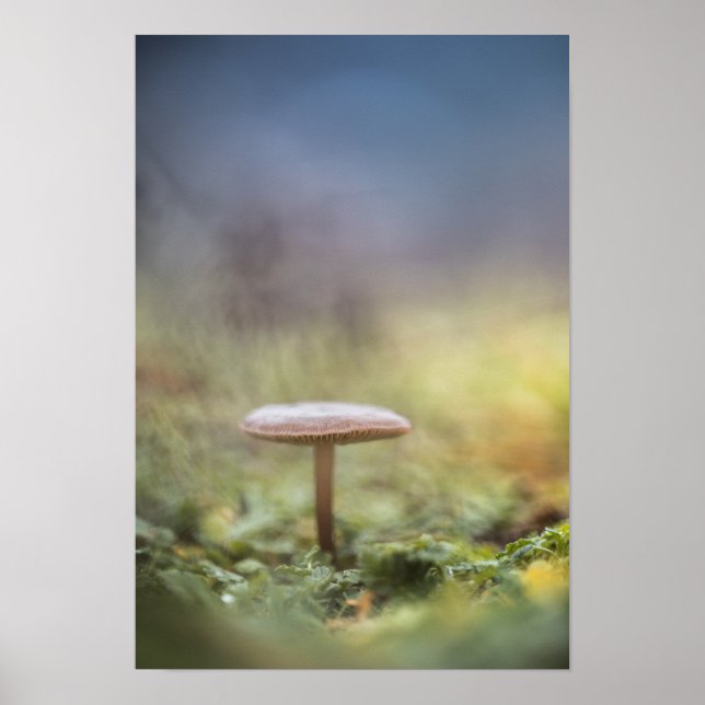 Tiny Mushroom Nature Photo Poster (Front)