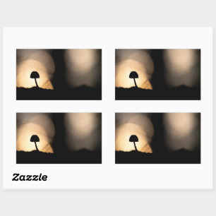 Tiny Mushroom Nature Photo Sticker