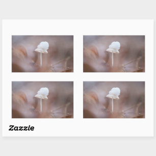 Tiny Mushroom Nature Photo Sticker