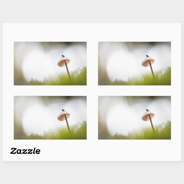 Tiny Mushroom Nature Photo Sticker (Sheet)