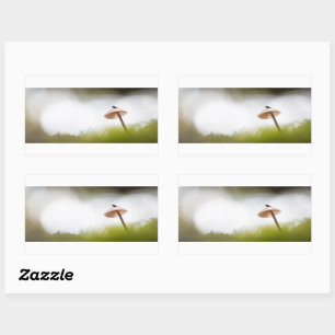 Tiny Mushroom Nature Photo Sticker