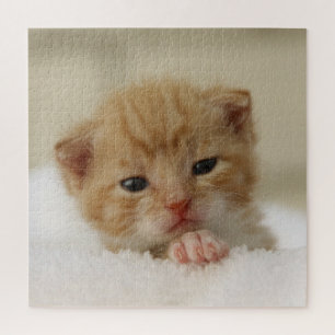 Tiny Orange Kitten Jigsaw Puzzle
