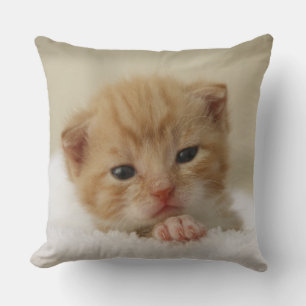 Tiny Orange Kitten Throw Pillow