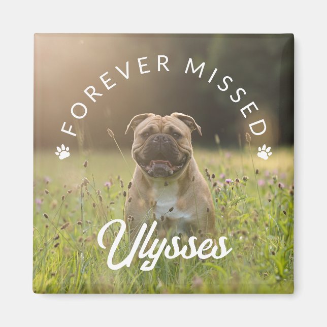 Tiny Paw Prints Forever Missed Pet Photo Magnet (Front)