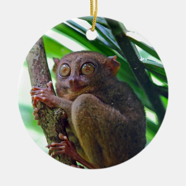 Tiny Philippine tarsier Ceramic Ornament (Front)