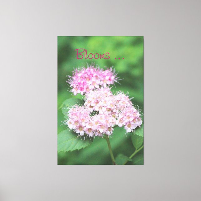 Tiny Pink Blooms Canvas Print (Front)