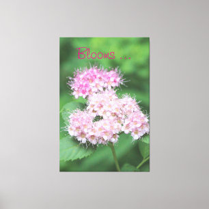 Tiny Pink Blooms Canvas Print