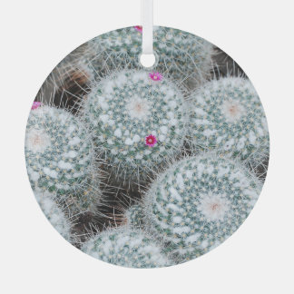Tiny Pink Flowers Cactus Plants Glass Ornament
