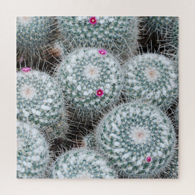 Tiny Pink Flowers Cactus Plants Jigsaw Puzzle (Vertical)