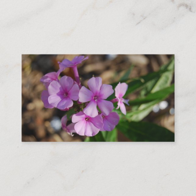 Tiny Purple Flowers - Business Card (Front)