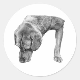 Tiny Scout, Big Heart Classic Round Sticker