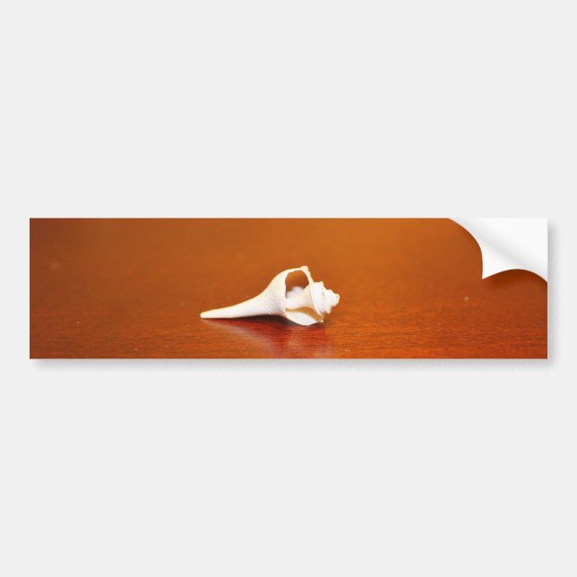 Tiny Shell Bumper Sticker (Front)