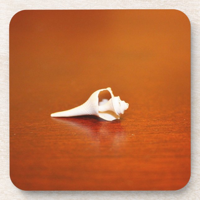 Tiny Shell Coaster (Front)