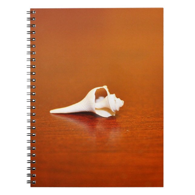 Tiny Shell Notebook (Front)