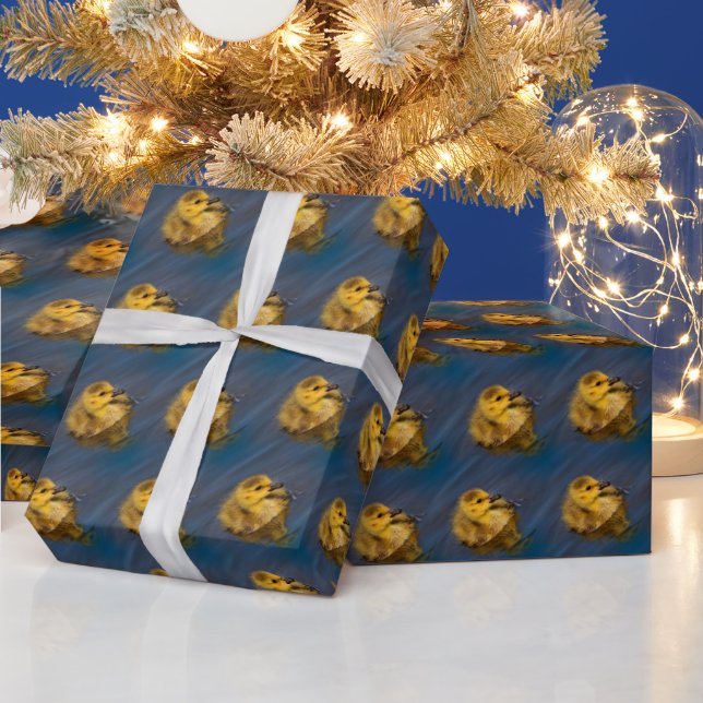 Tiny Swimmer: Cute Canada Goose Gosling Wrapping Paper (Holidays)