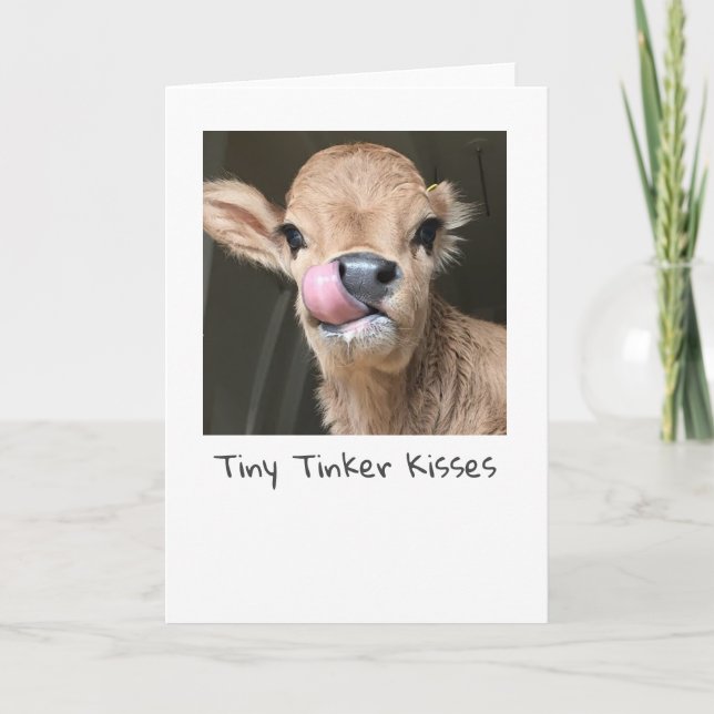 Tiny Tinker Cow Kisses Card (Front)